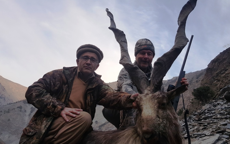Kashmir Markhor in Jan 2018 at Chitral