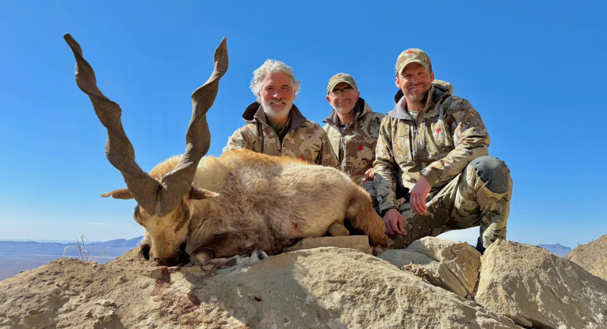 Untitled 2025 04 30T062326.331 1