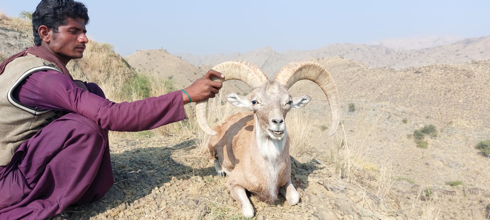 WhatsApp Image 2025 05 29 at 11.20.24 PM 1